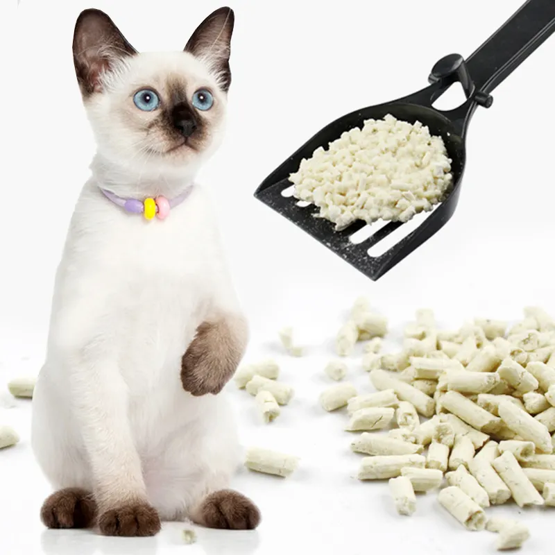 The importance of cat litter to cat health