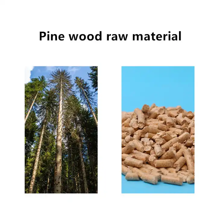 pine-cat-litter-particles