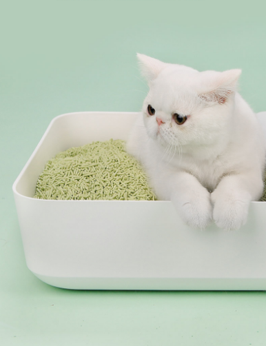  Is It OK to Flush Tofu Cat Litter?