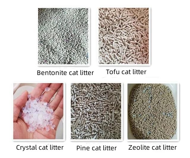 Where to Buy the Best Cat Litter: Discover Quality Options at MeiMiao Pets