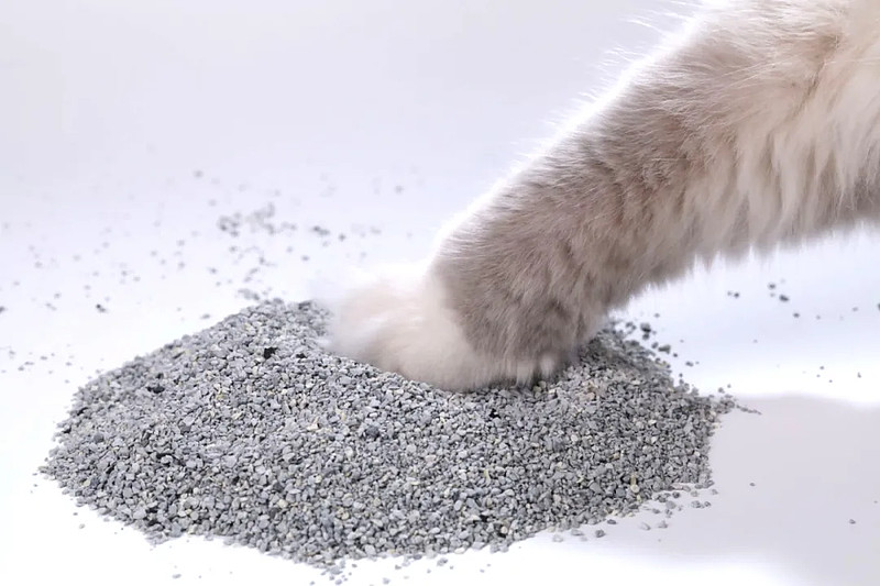 Unlock the Benefits of Bentonite Cat Litter