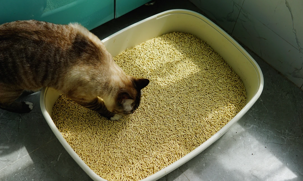 The Pros and Cons of Tofu Cat Litter: A Comprehensive Guide for Eco-Conscious Pet Owners