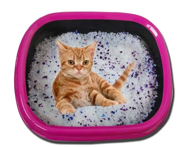 MeiMiao Crystal Cat Litter: The Pinnacle of Hygiene for Your Feline Companion