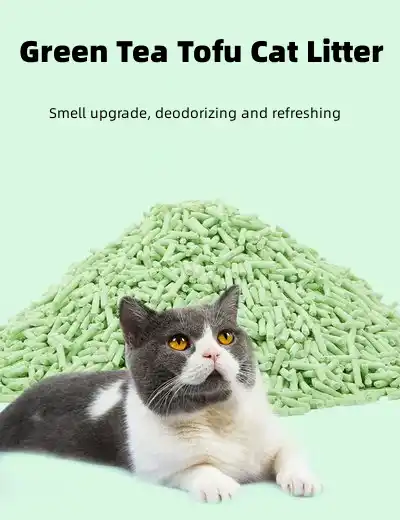 Tofu Cat Litter Green Tea: A Fresh Approach to Sustainable Pet Care