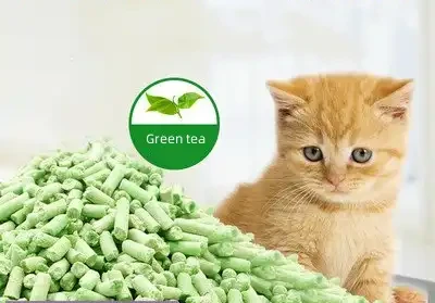 Choice in Cat Litter—Tofu Cat Litter