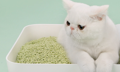 Choice in Cat Litter—Tofu Cat Litter