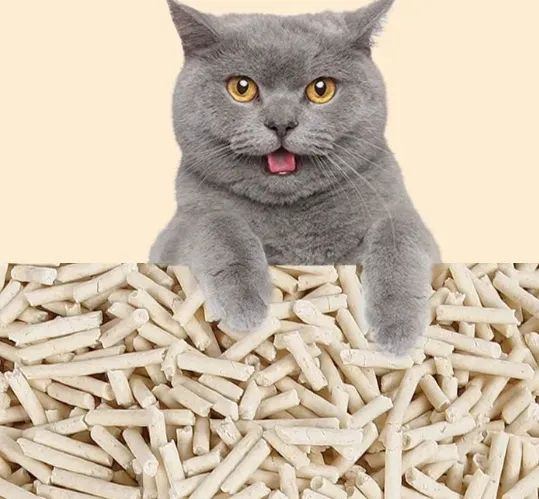 Tofu cat litter is easy to use and inexpensive