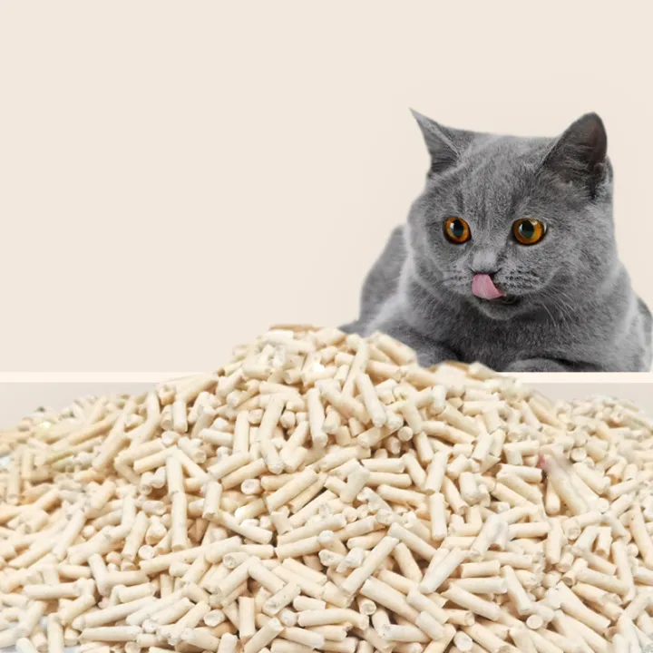 cat-litter-sand