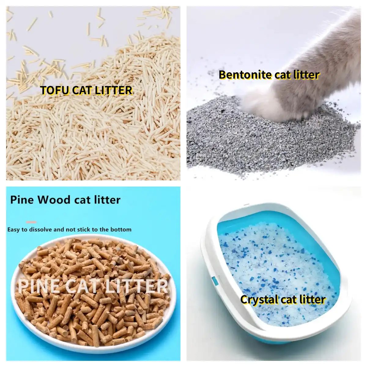 Types of Cat Litter & How to Choose the Right One